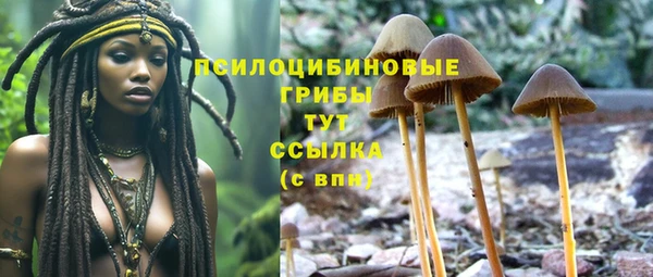 тгк Балахна